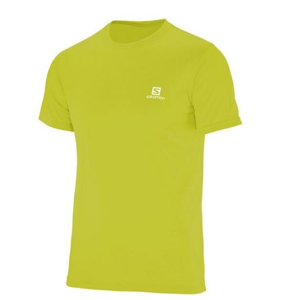 Camiseta Salomon Trainning VII SS Masc