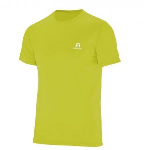 Camiseta Salomon Trainning VII SS Masc