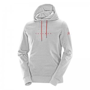 Moletom Salomon Mini Logo Hoodie II Masc - Cinza