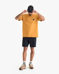 01BermudaFinchMascpreto