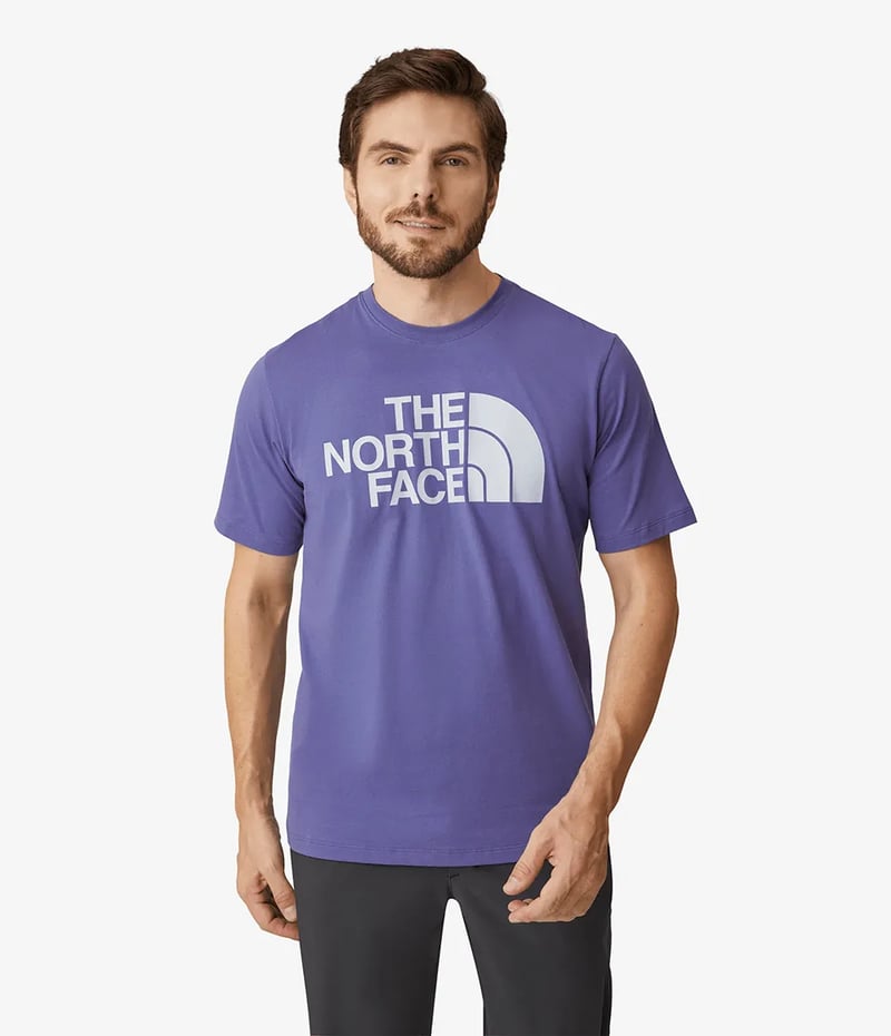 Camiseta Masculina The North Face Half Dome Tee - Azul