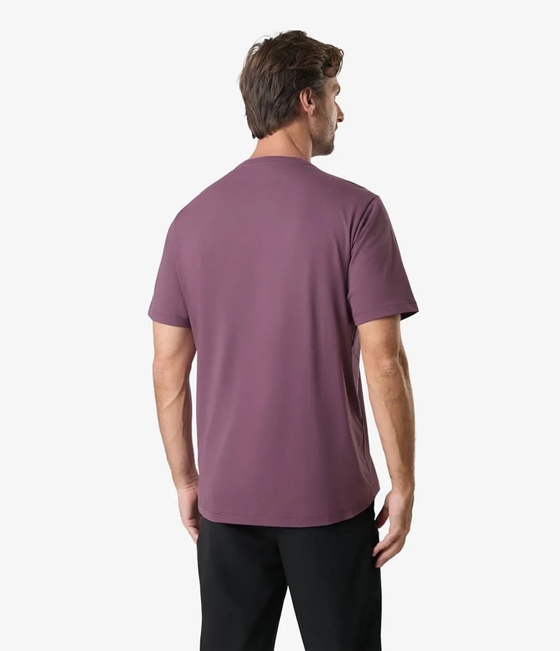 Camiseta The North Face Half Dome Tee Masc - Roxo