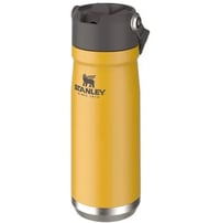 Garrafa Térmica Stanley Flip Straw 651ml - Saffron
