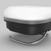Lanterna Silva Glow Recharge