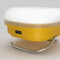 Lanterna Silva Glow Recharge
