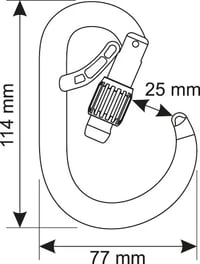 Mosquetão Camp CORE BELAY LOCK