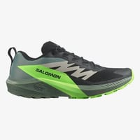 Tênis Salomon Sense Ride 5 Masc - Preto/Verde